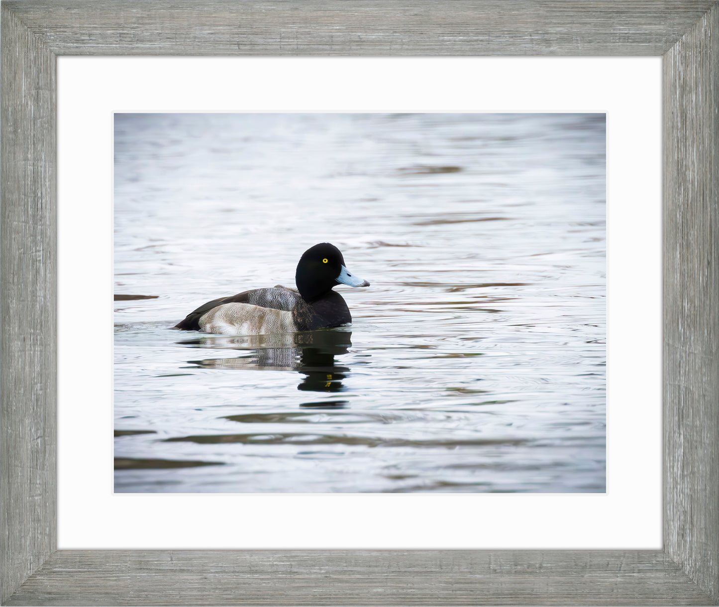 Muddy Blue Bill