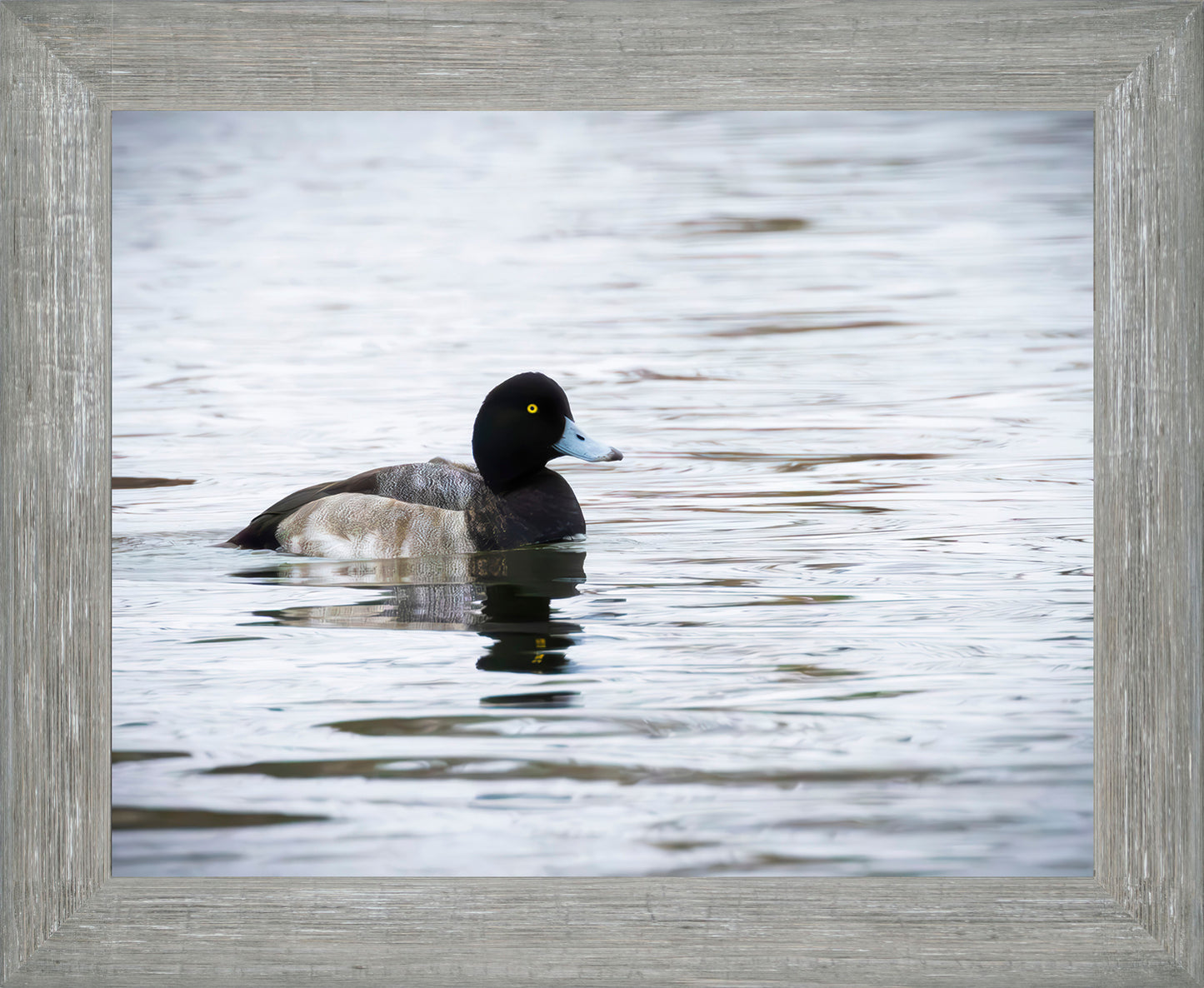 Muddy Blue Bill