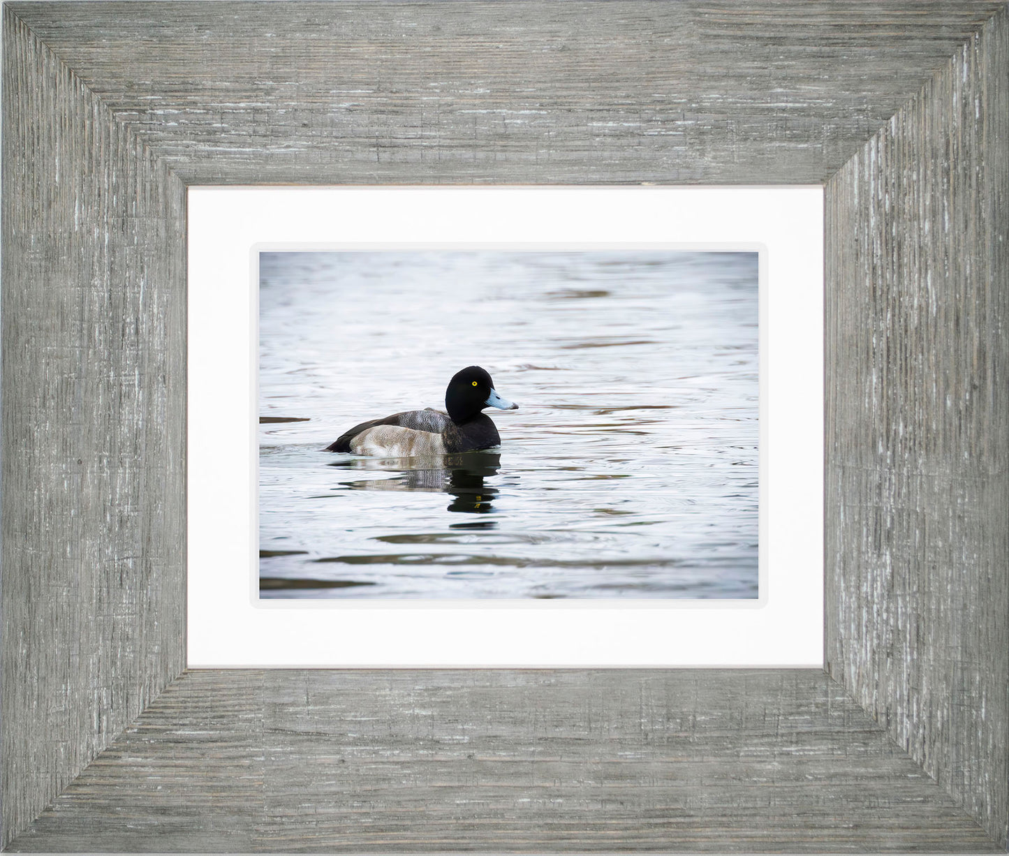 Muddy Blue Bill