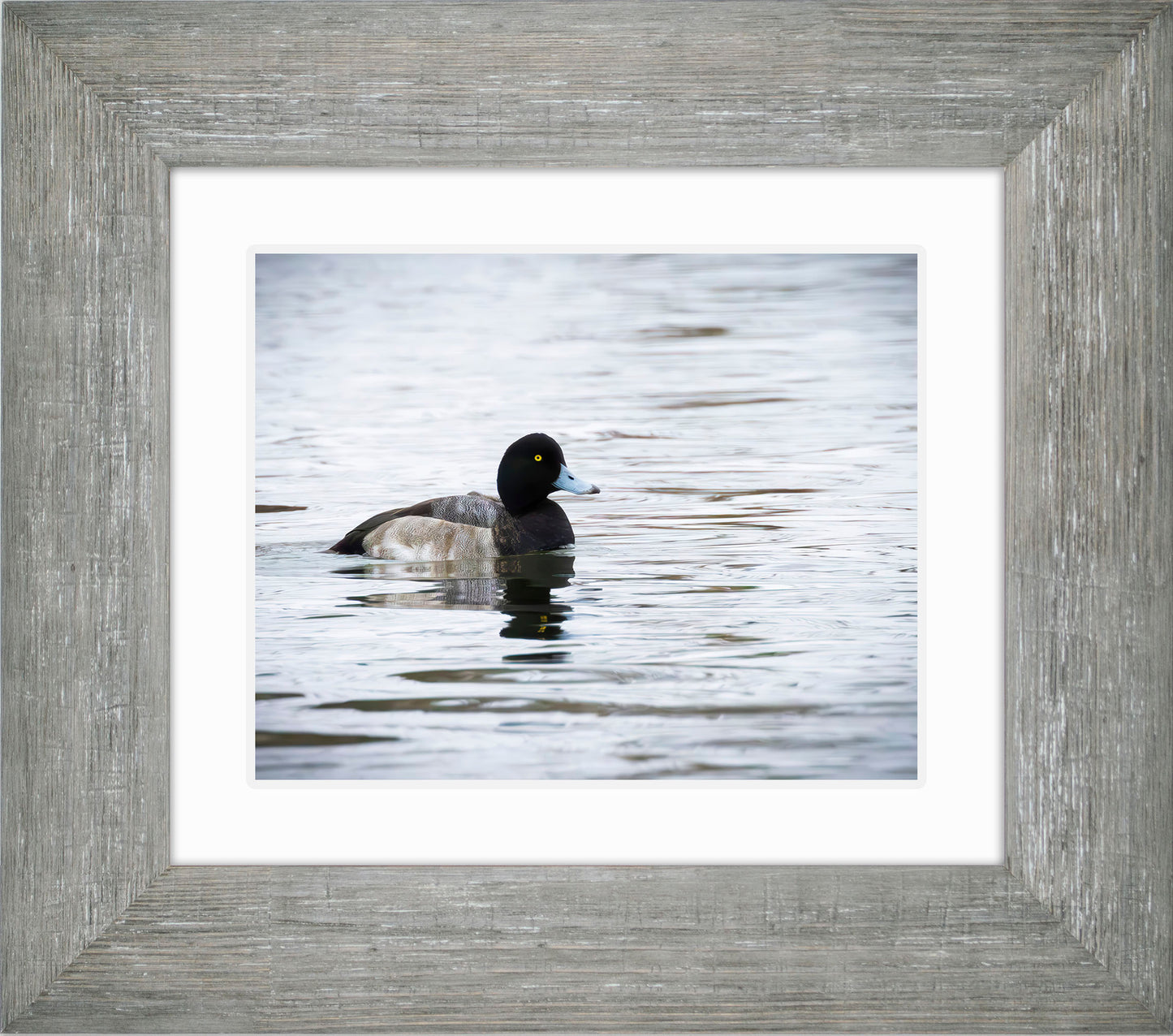 Muddy Blue Bill
