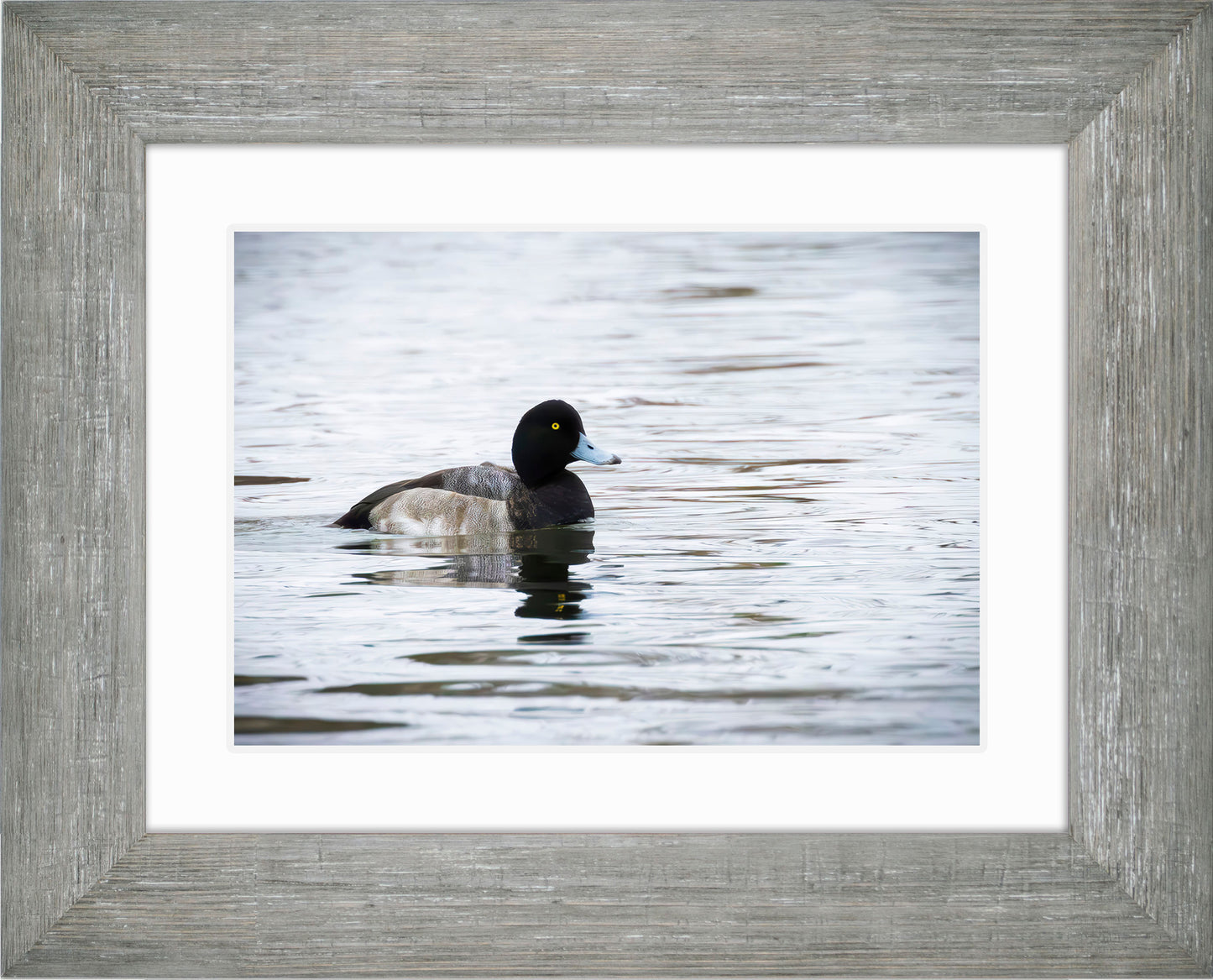 Muddy Blue Bill