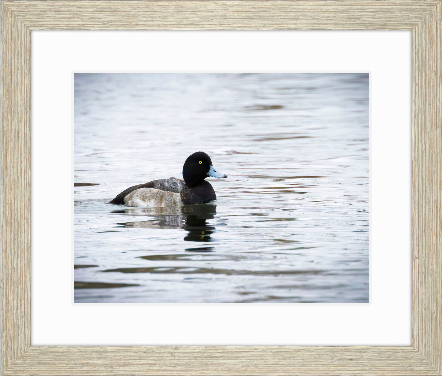 Muddy Blue Bill