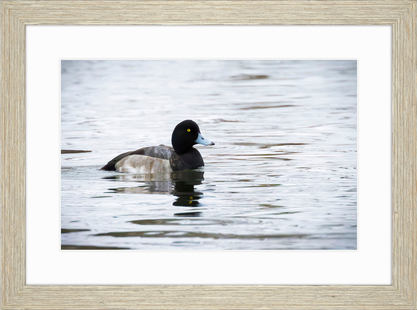 Muddy Blue Bill