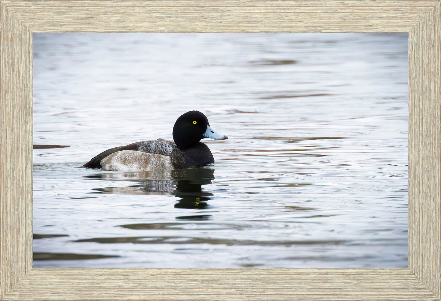 Muddy Blue Bill