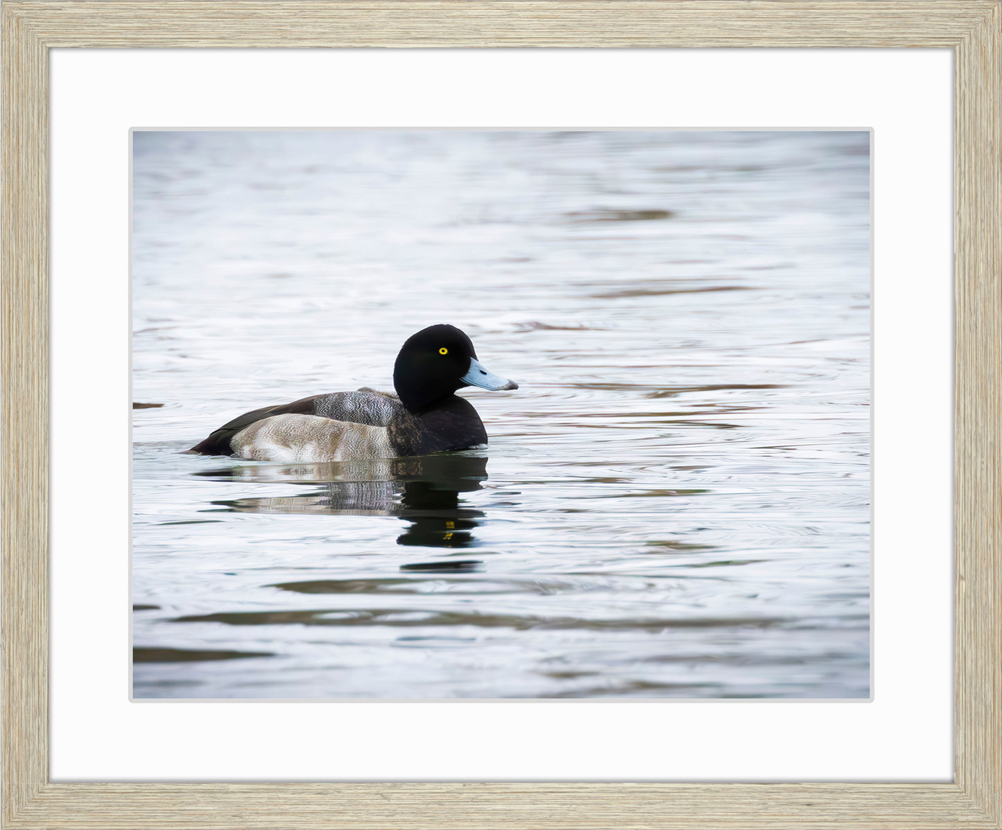 Muddy Blue Bill