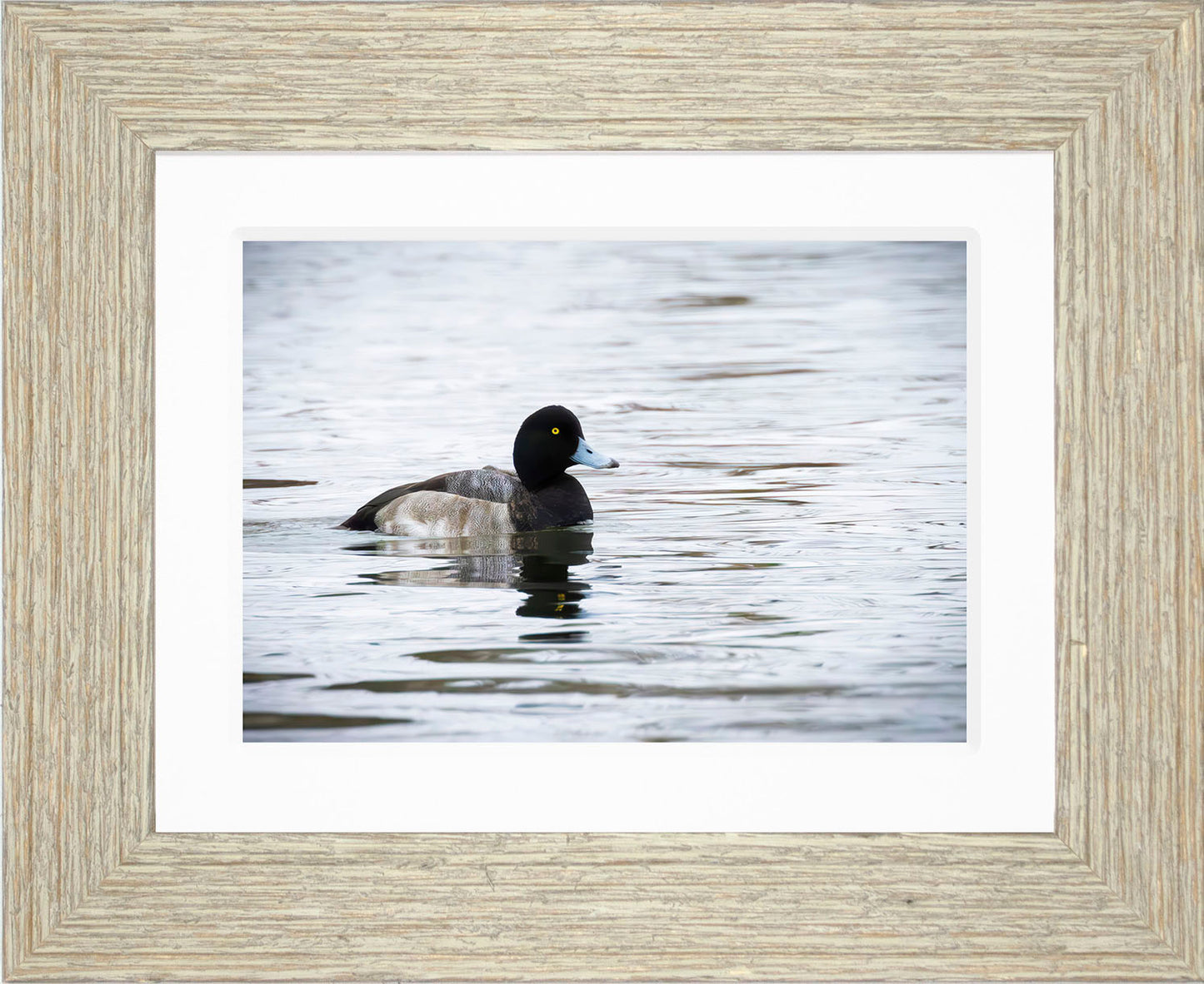 Muddy Blue Bill