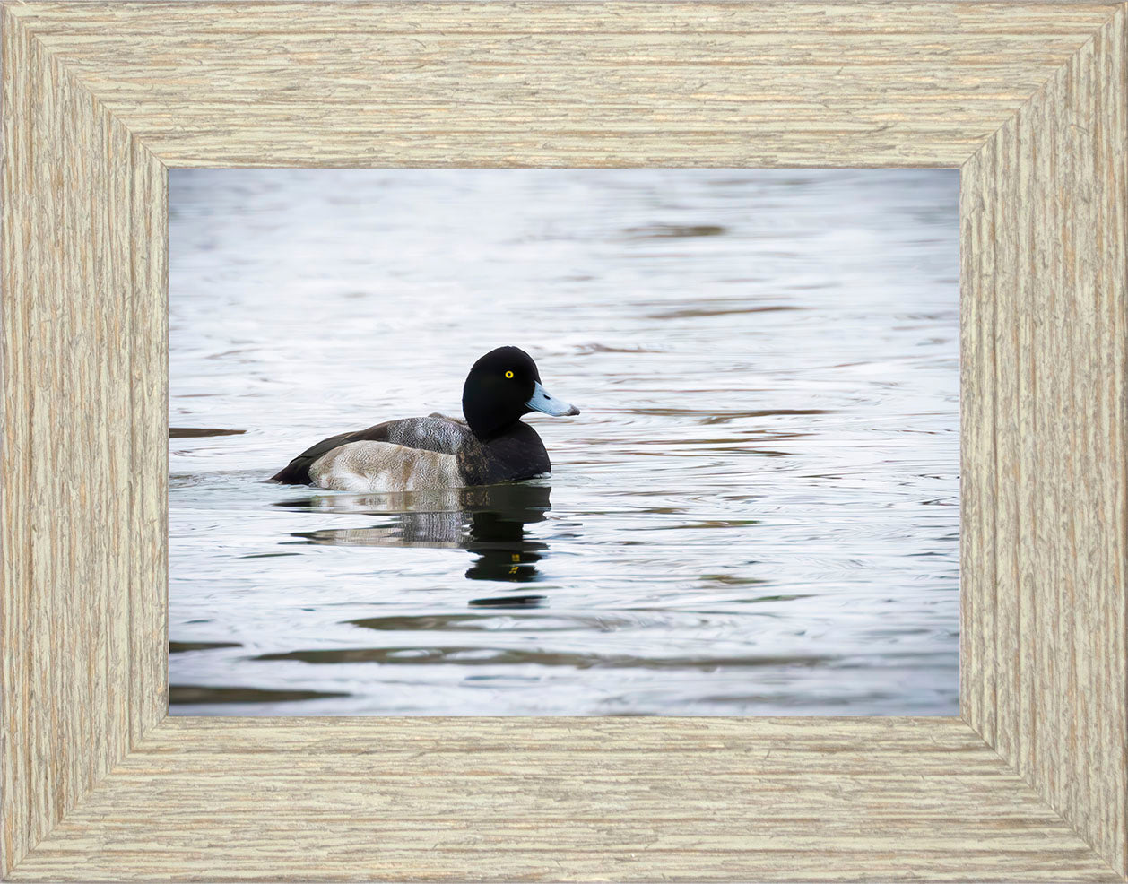 Muddy Blue Bill