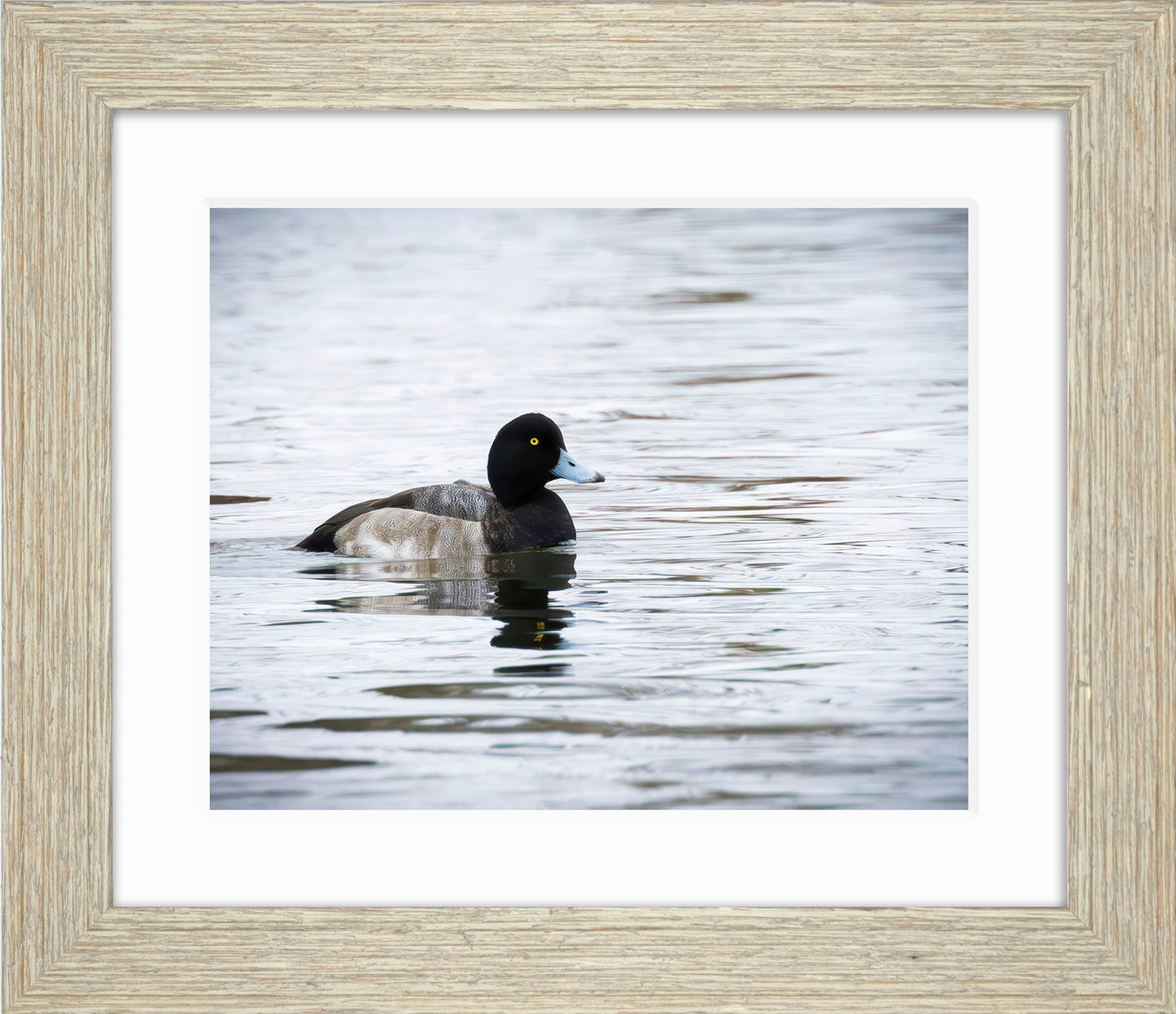 Muddy Blue Bill