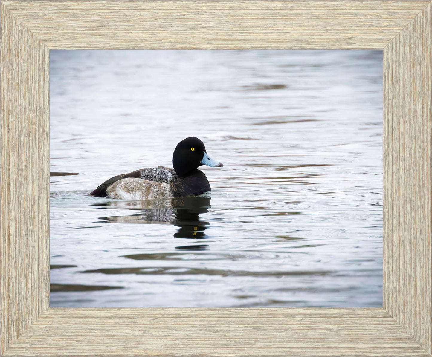 Muddy Blue Bill
