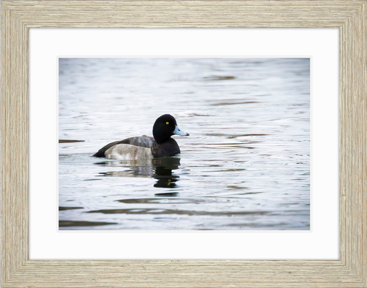 Muddy Blue Bill
