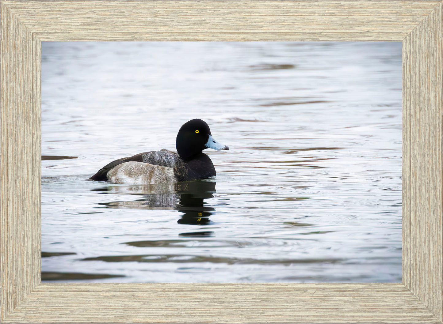 Muddy Blue Bill