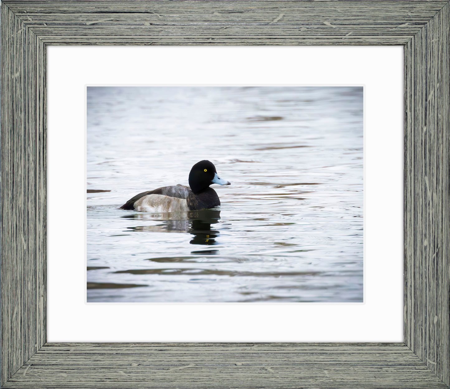 Muddy Blue Bill