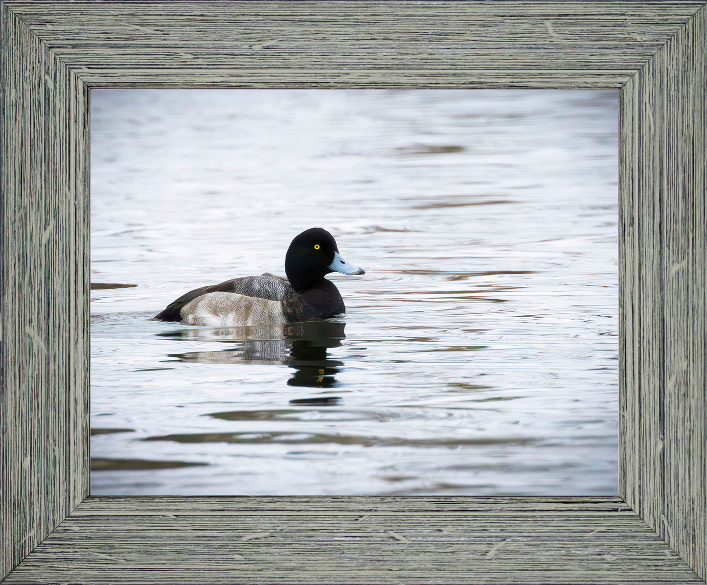 Muddy Blue Bill