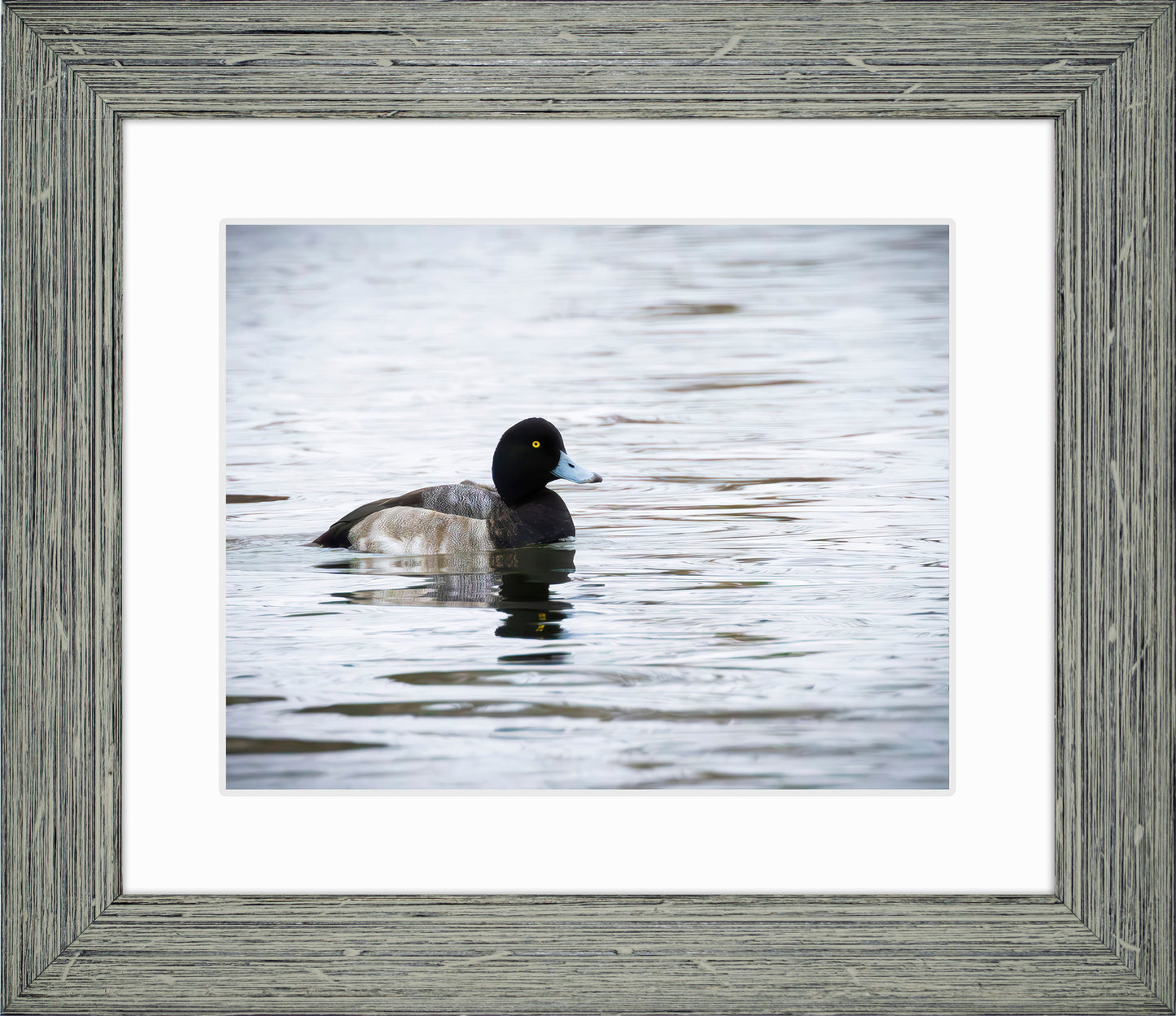 Muddy Blue Bill