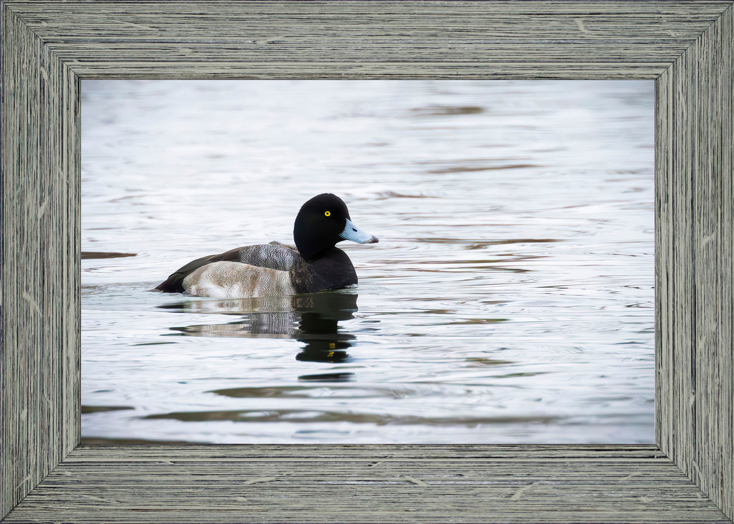 Muddy Blue Bill
