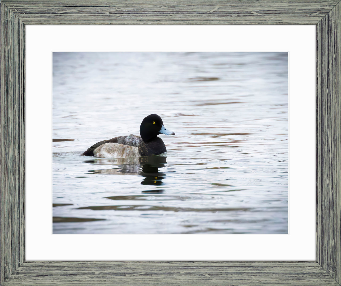 Muddy Blue Bill