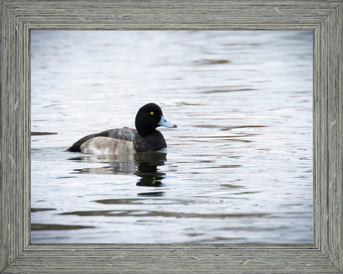 Muddy Blue Bill