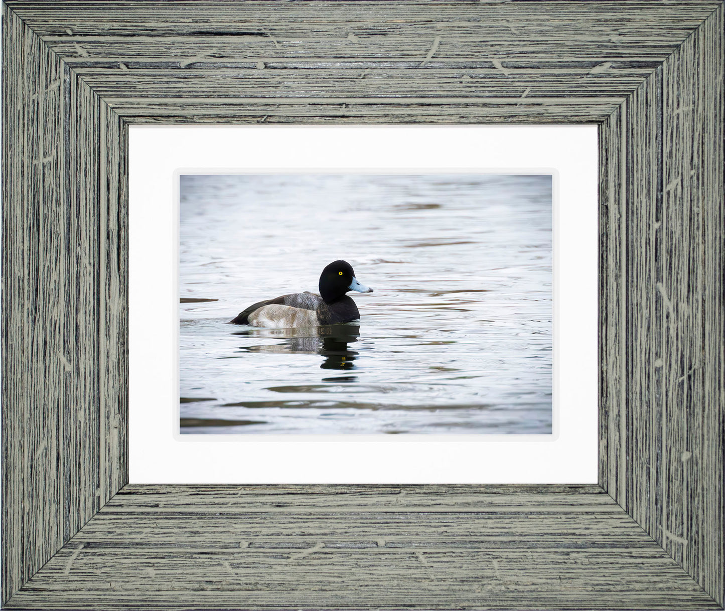 Muddy Blue Bill