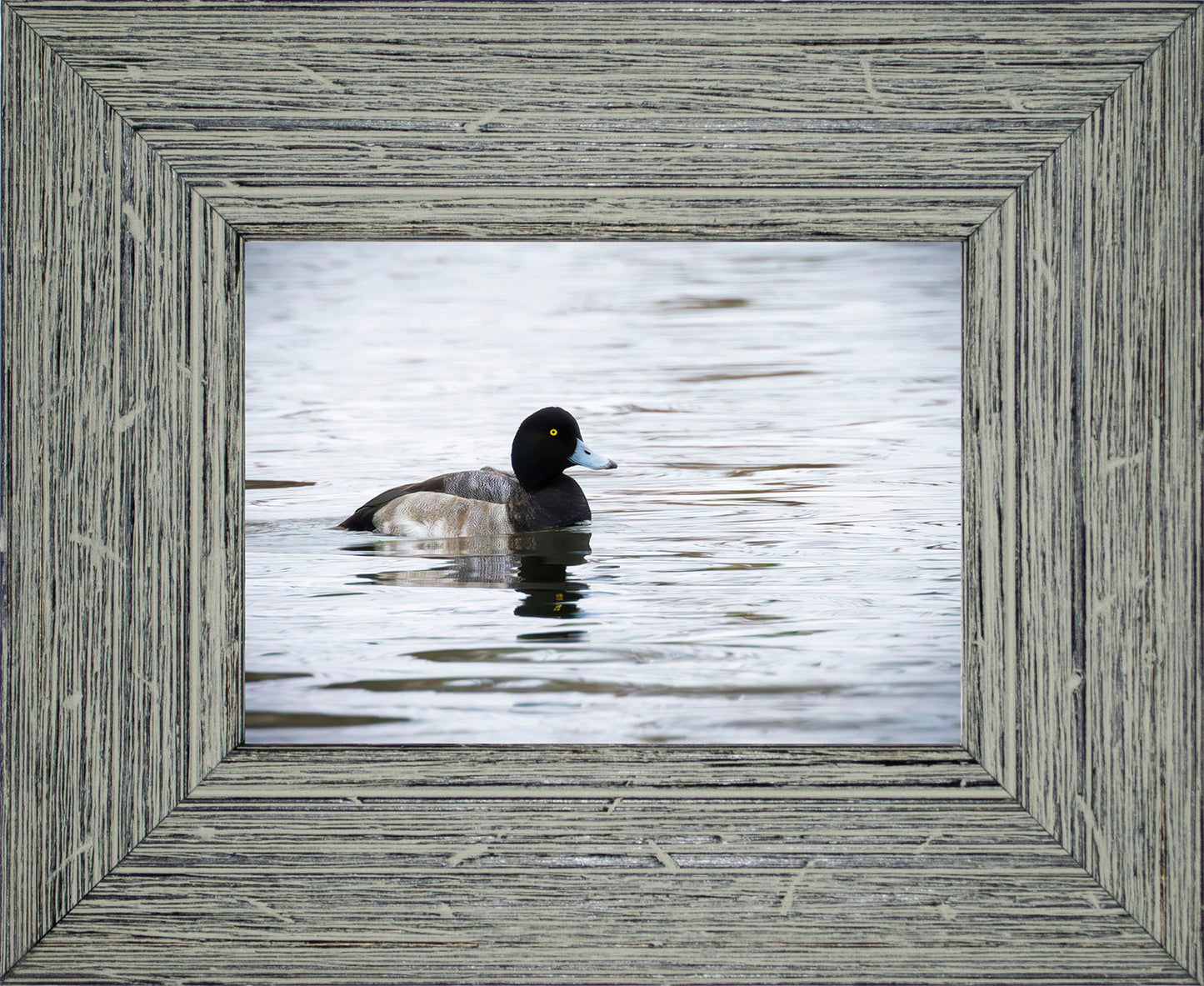 Muddy Blue Bill