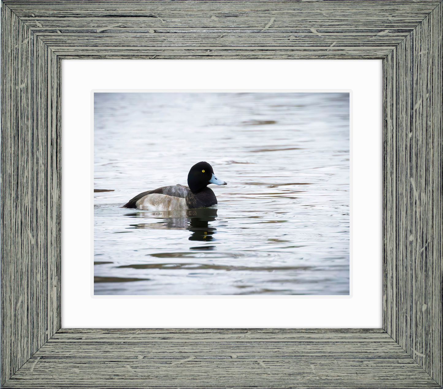 Muddy Blue Bill