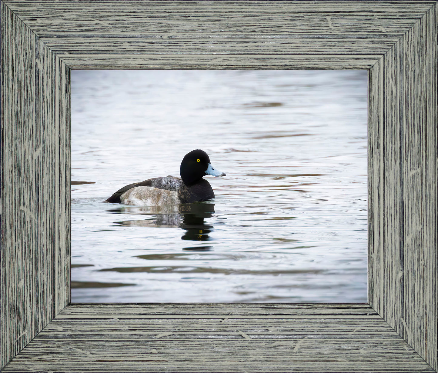Muddy Blue Bill