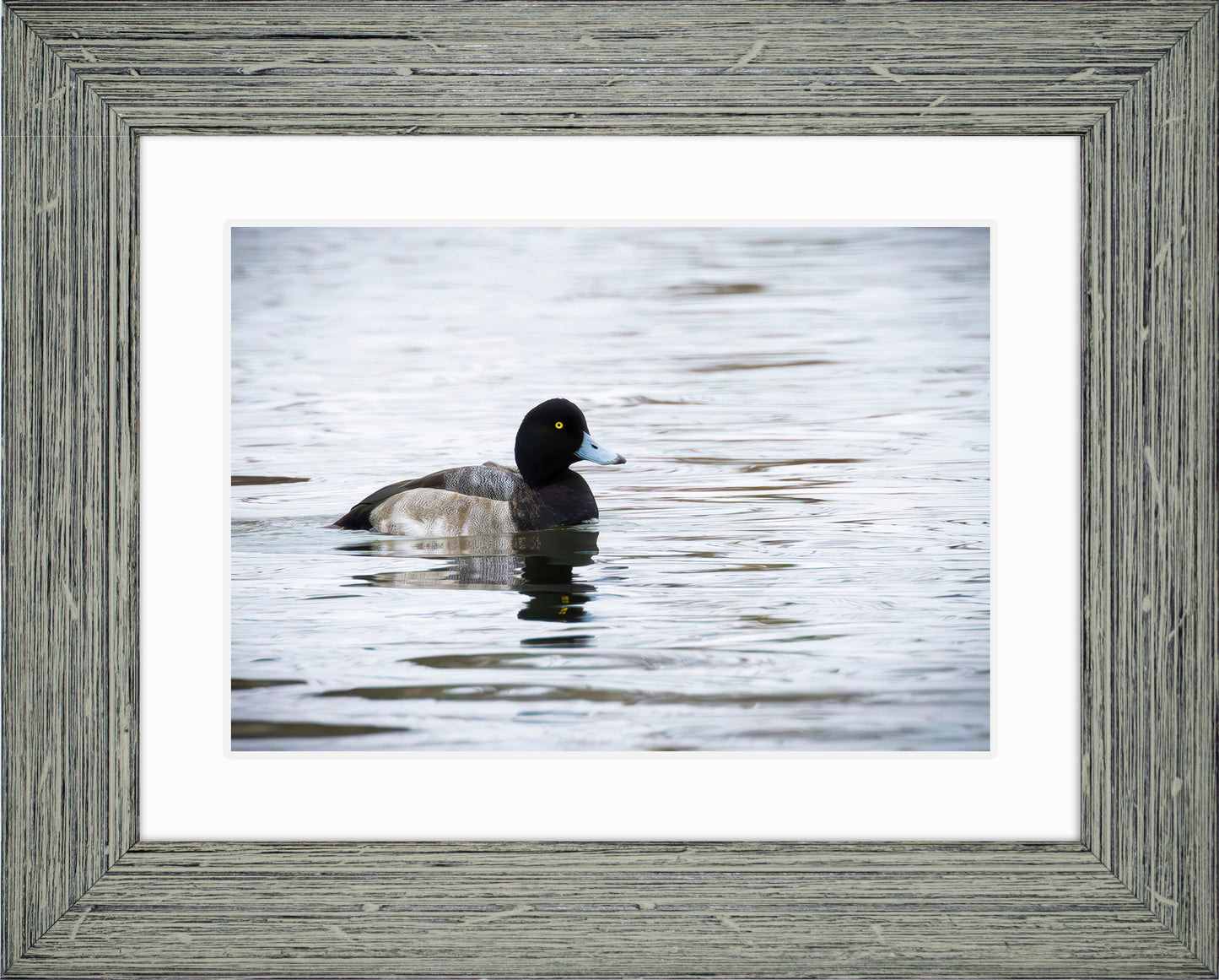Muddy Blue Bill