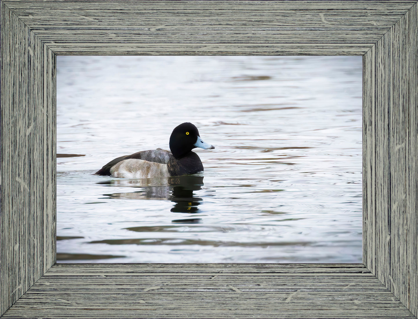 Muddy Blue Bill