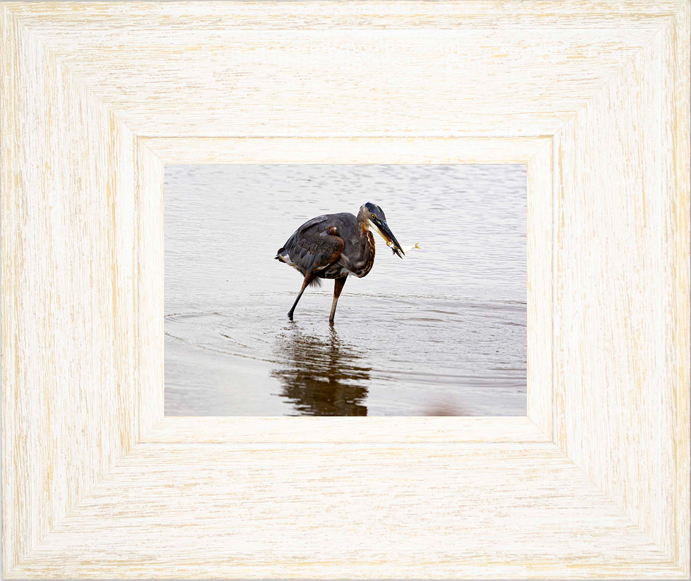 Small Catch at Blackwater -- Digital Print