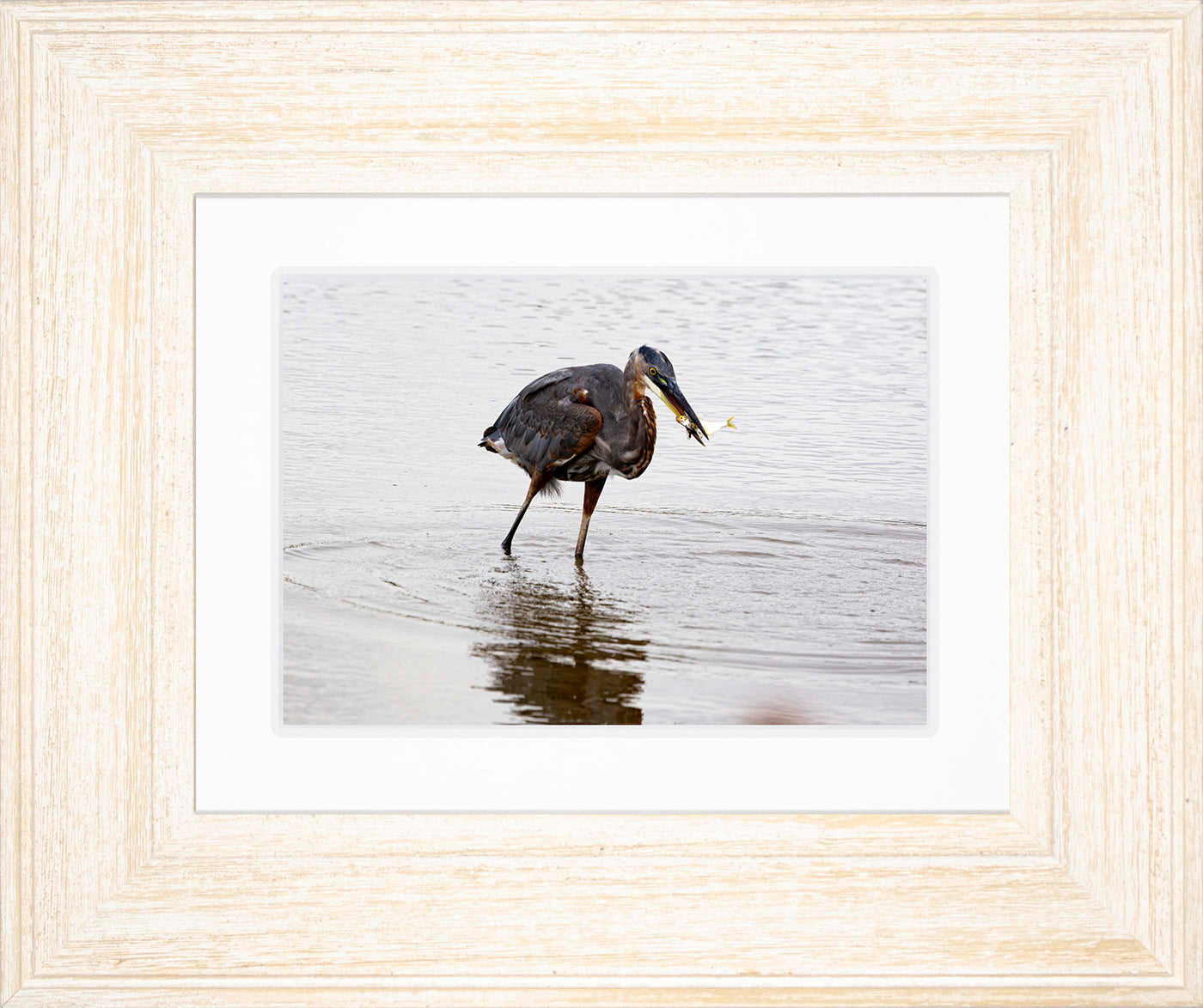 Small Catch at Blackwater -- Digital Print