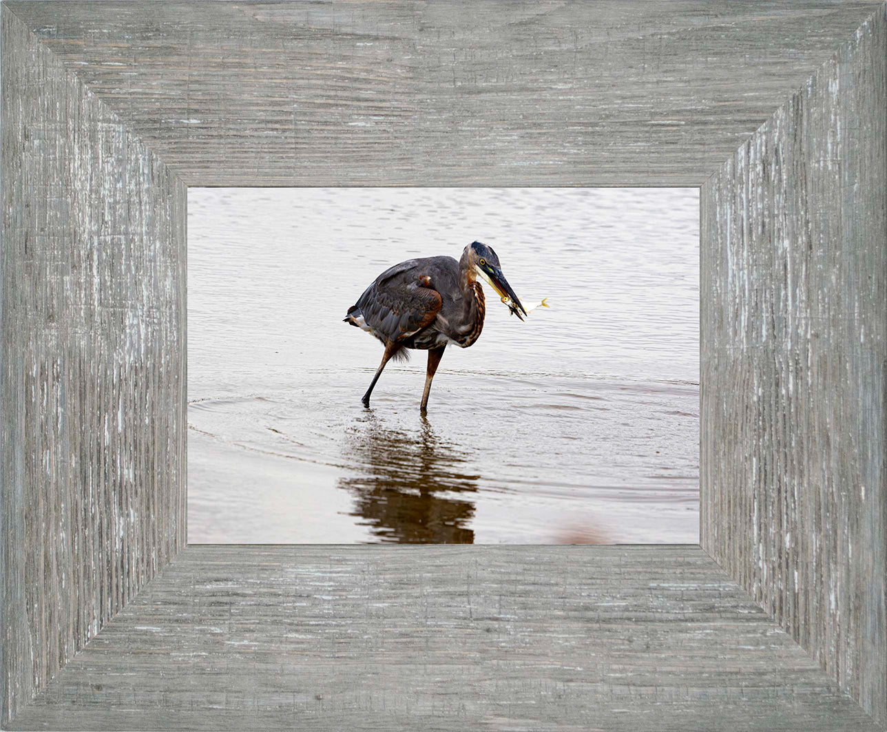 Small Catch at Blackwater -- Digital Print