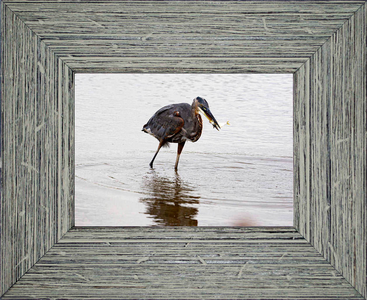 Small Catch at Blackwater -- Digital Print
