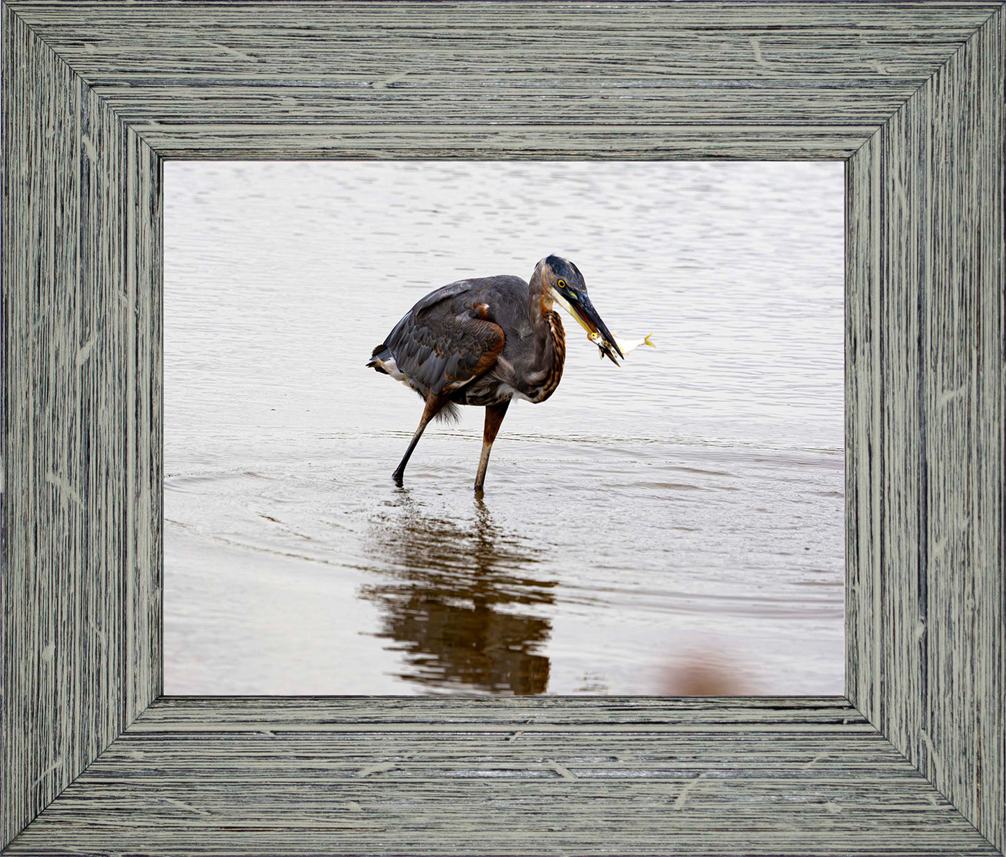 Small Catch at Blackwater -- Digital Print