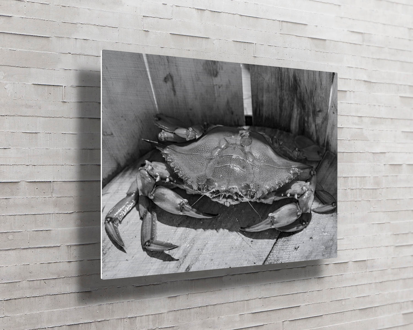 Solo Jimmy -- HD Metal