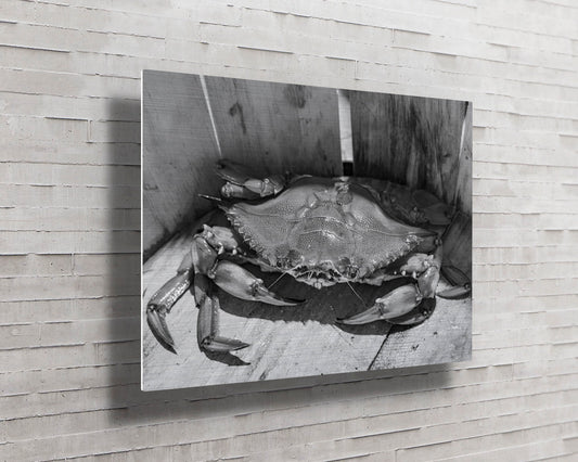 Solo Jimmy -- HD Metal