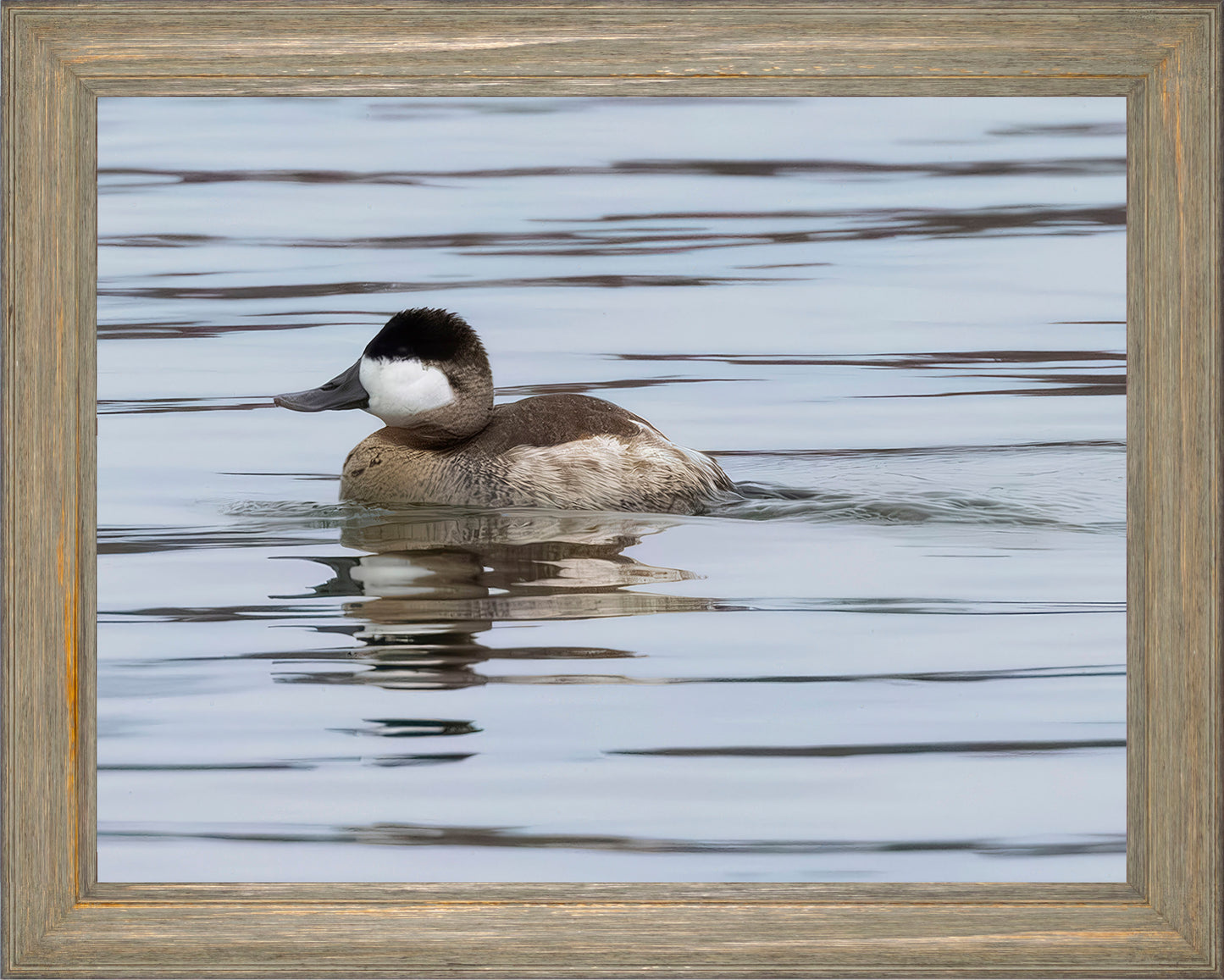 Solo Ruddy Drake #1