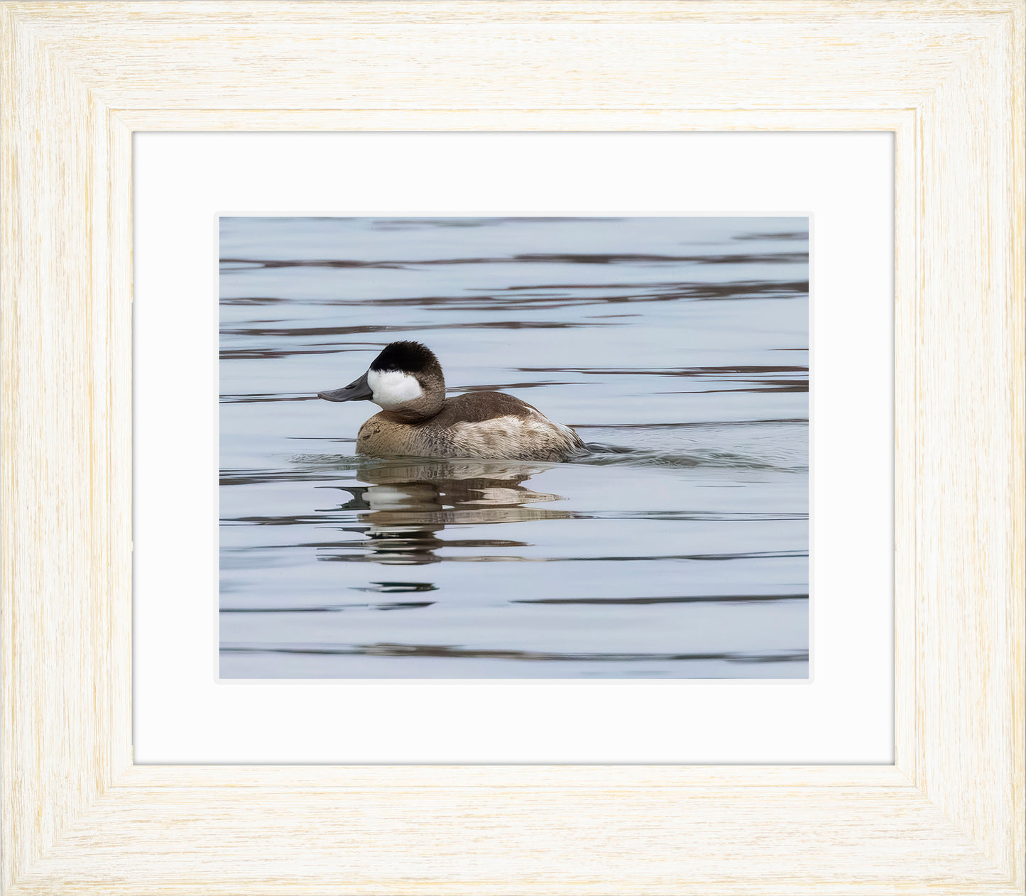 Solo Ruddy Drake #1