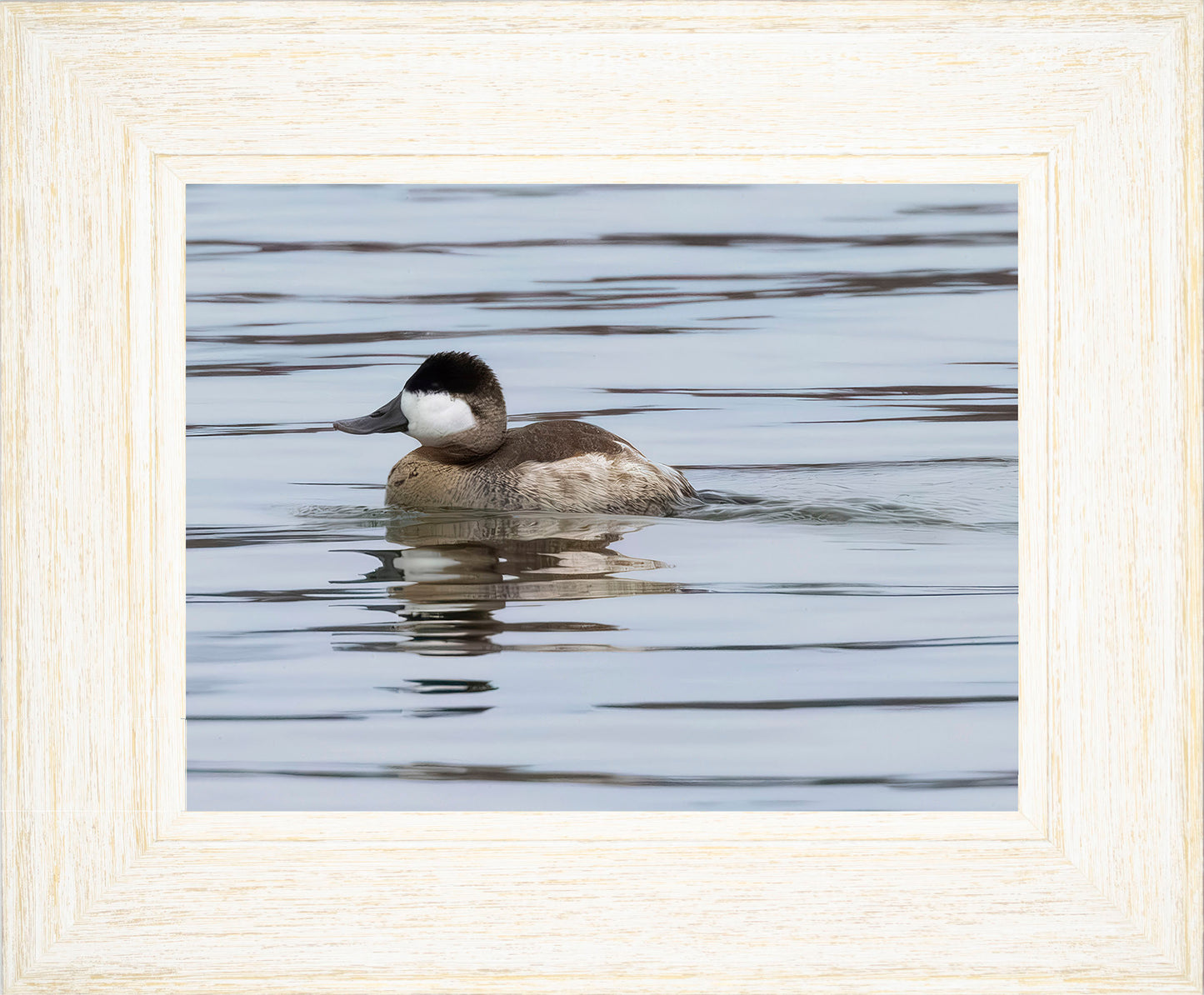 Solo Ruddy Drake #1