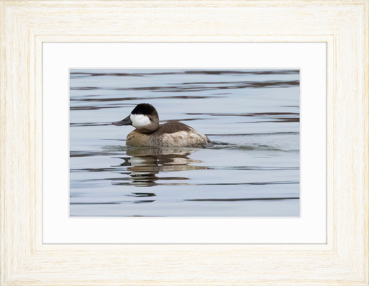 Solo Ruddy Drake #1