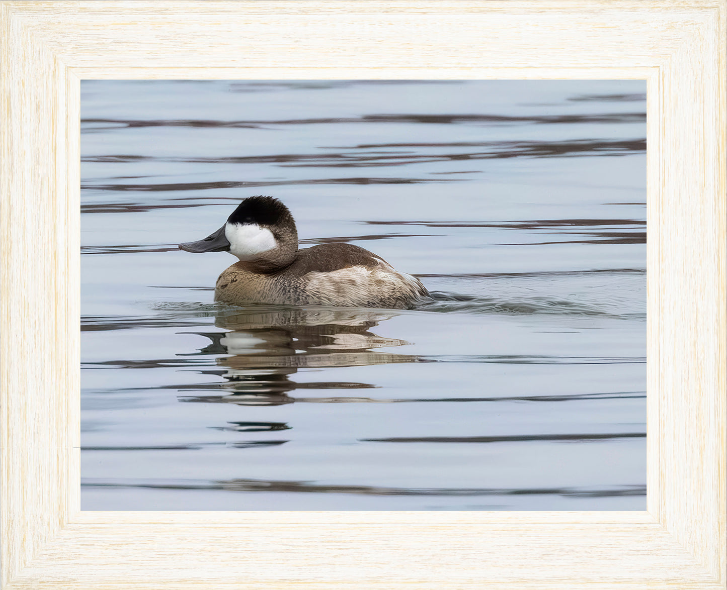 Solo Ruddy Drake #1