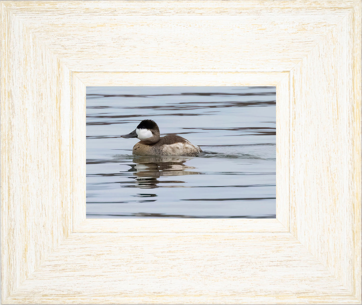 Solo Ruddy Drake #1
