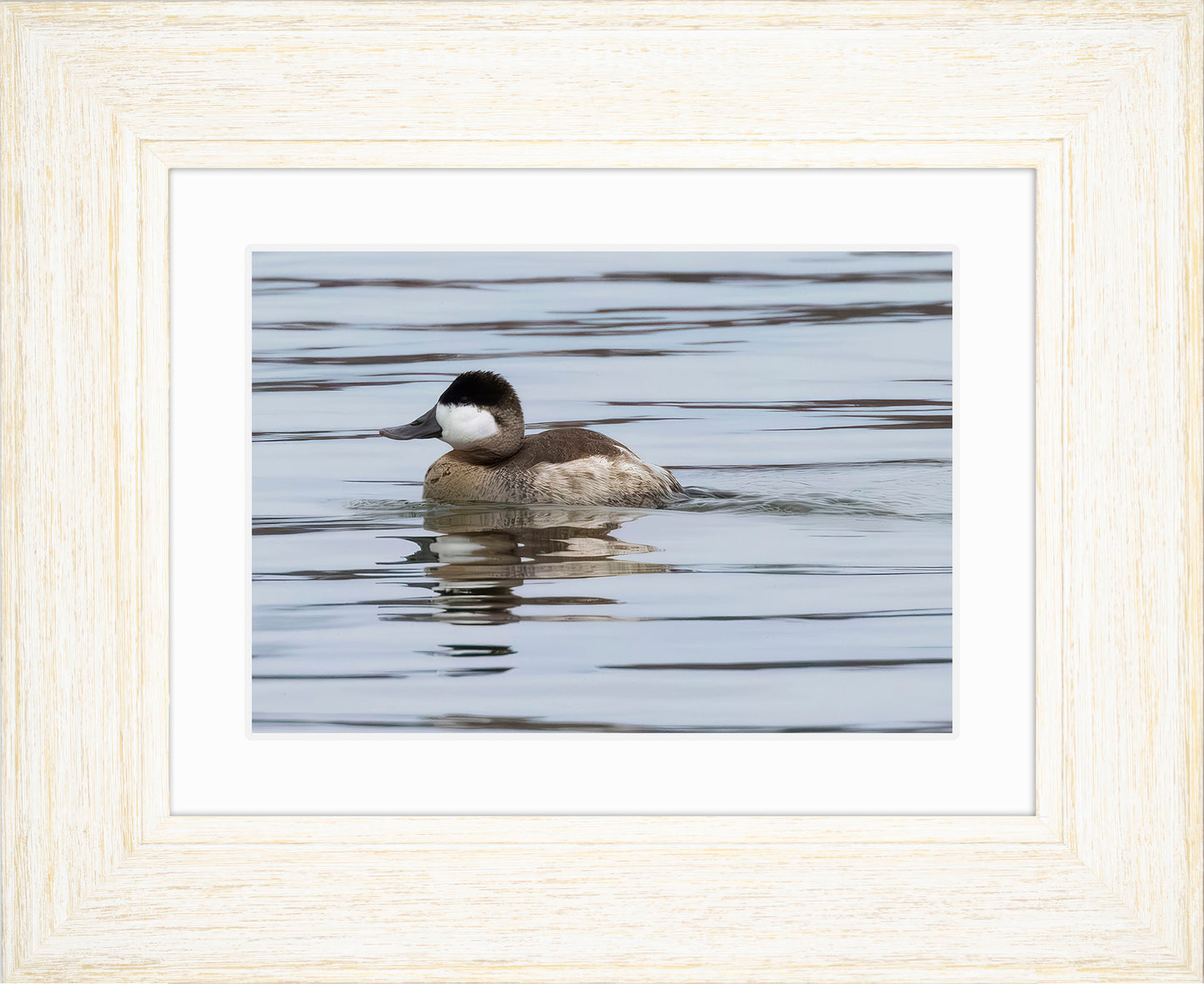 Solo Ruddy Drake #1