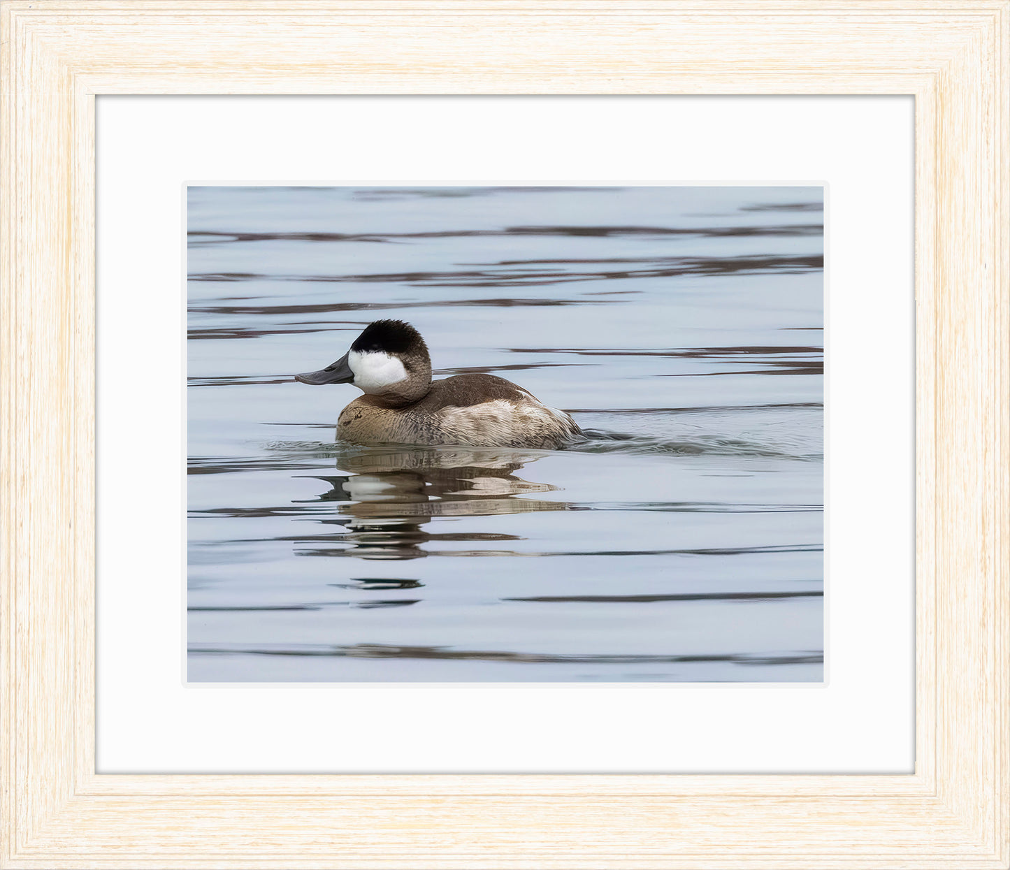 Solo Ruddy Drake #1