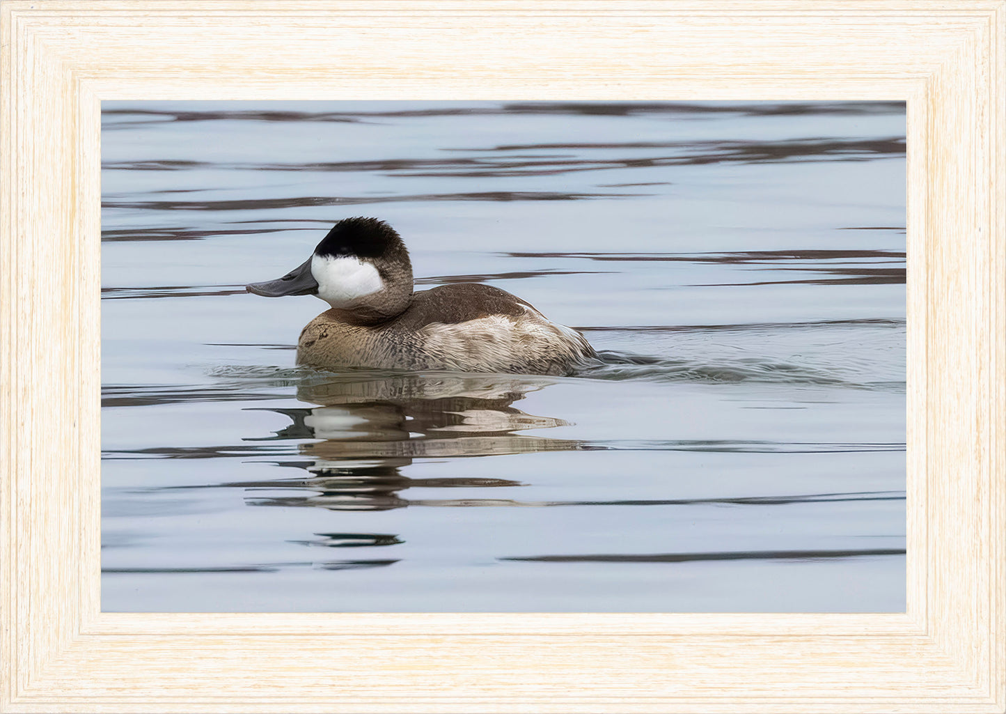 Solo Ruddy Drake #1