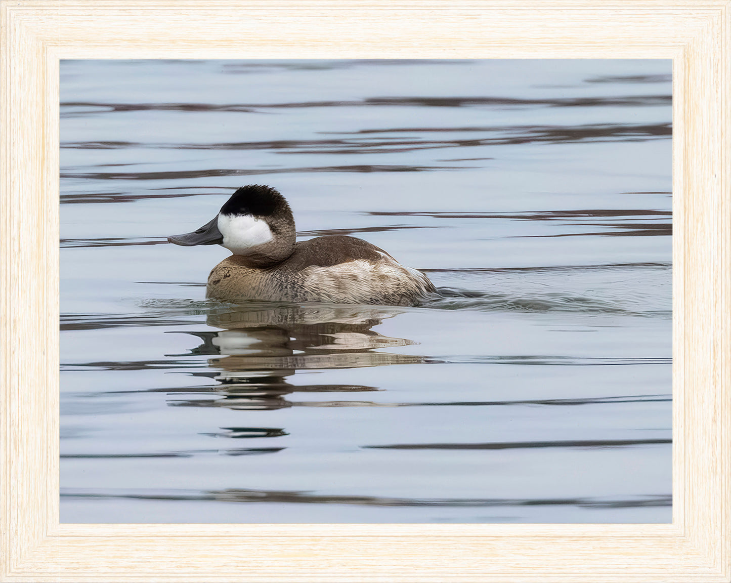 Solo Ruddy Drake #1