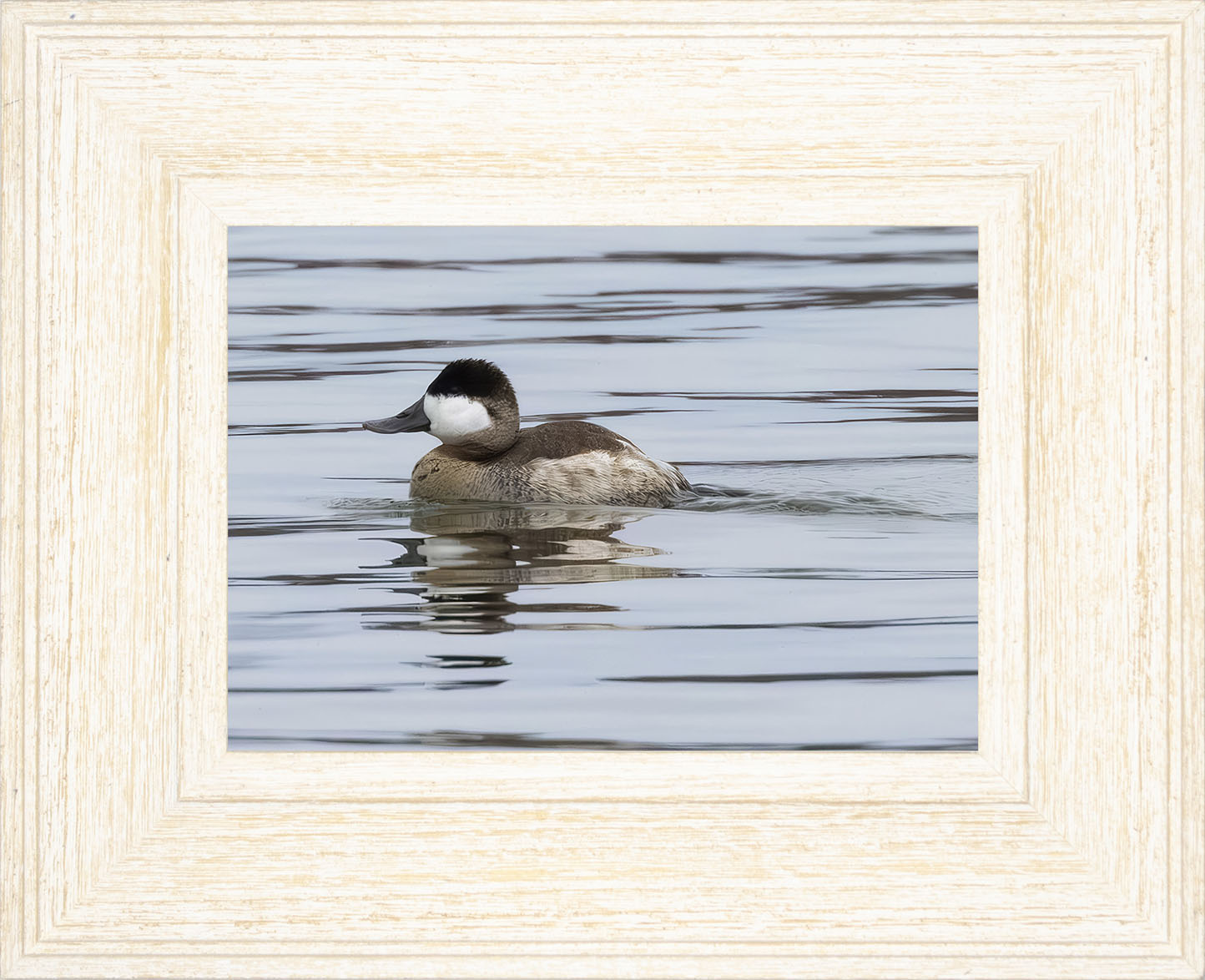 Solo Ruddy Drake #1