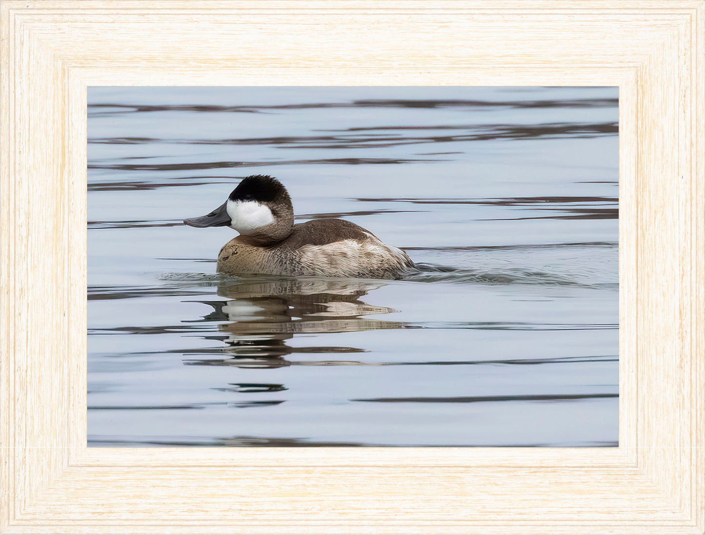 Solo Ruddy Drake #1