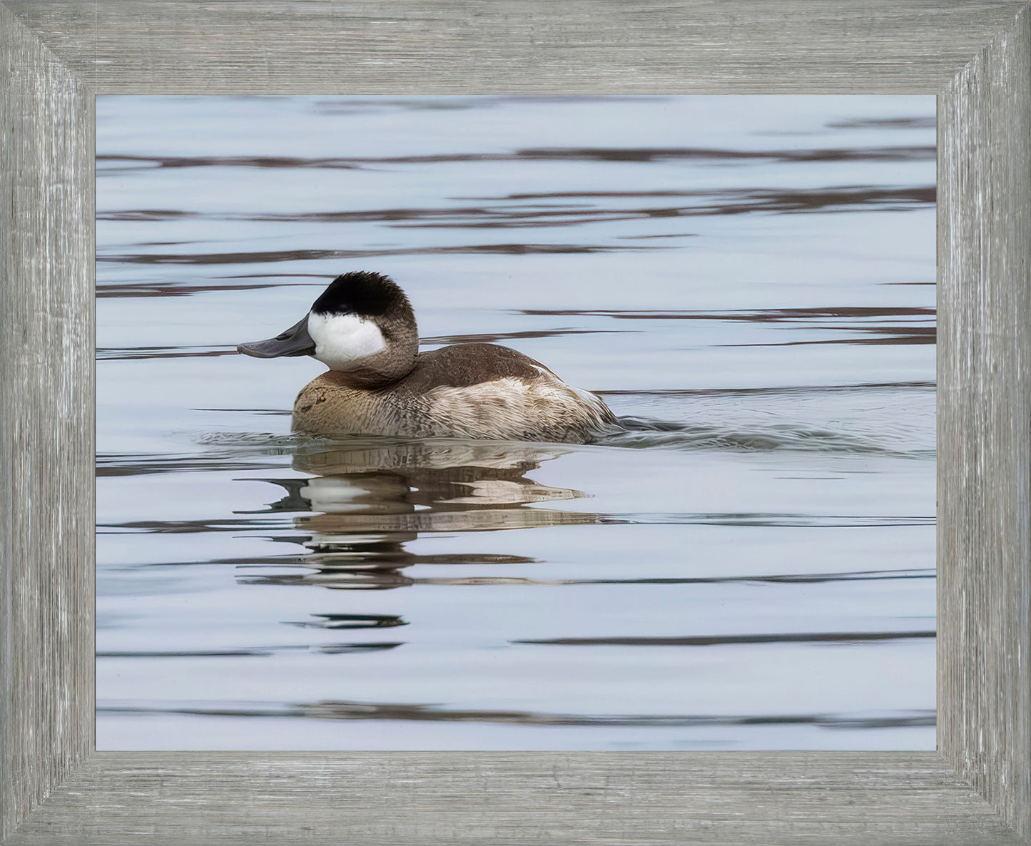 Solo Ruddy Drake #1