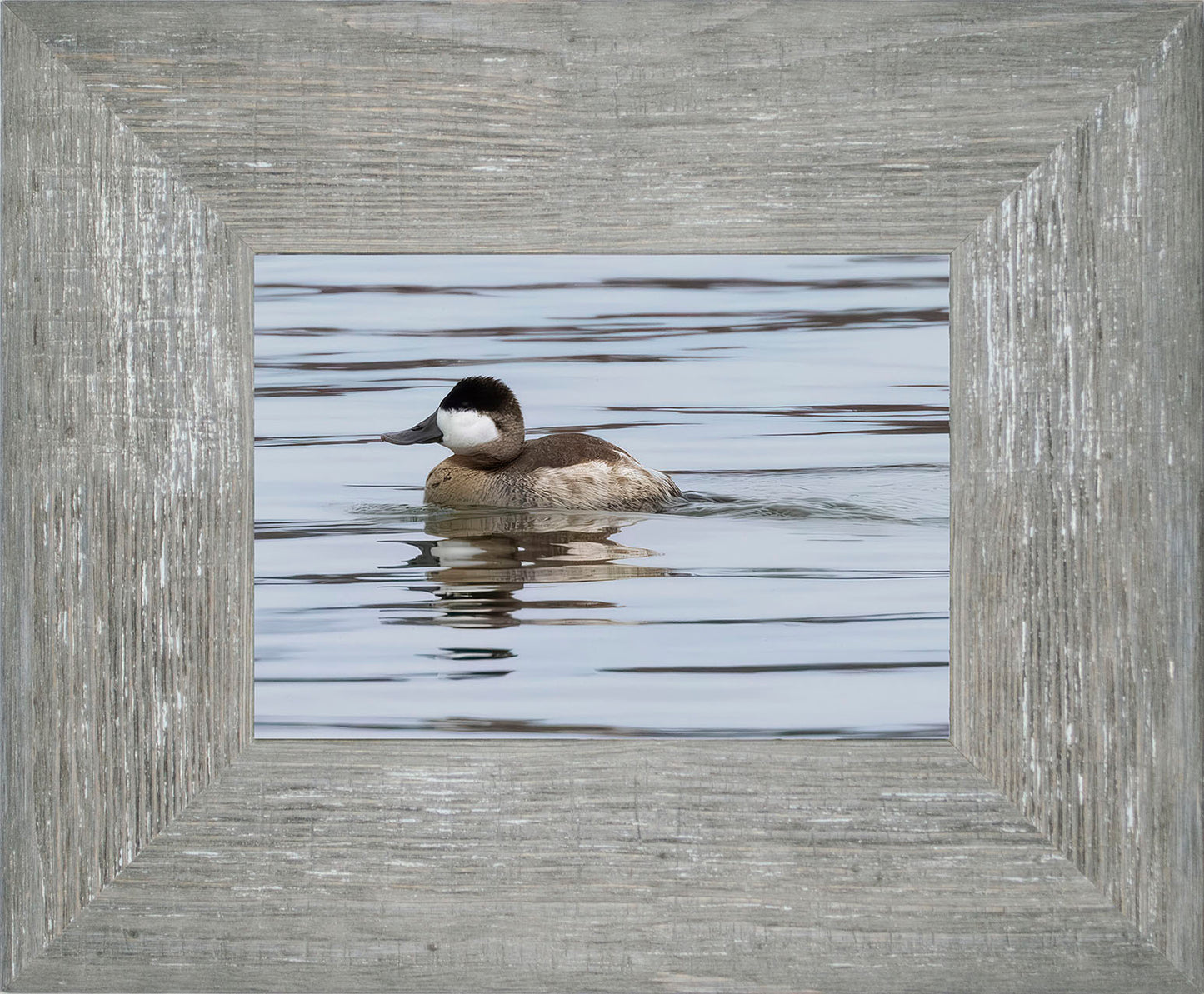 Solo Ruddy Drake #1