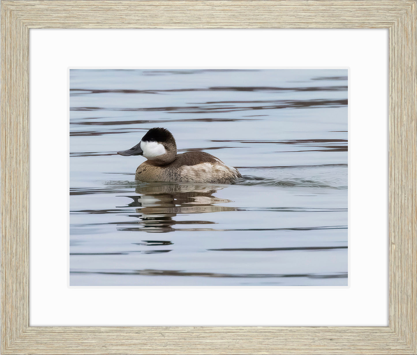 Solo Ruddy Drake #1