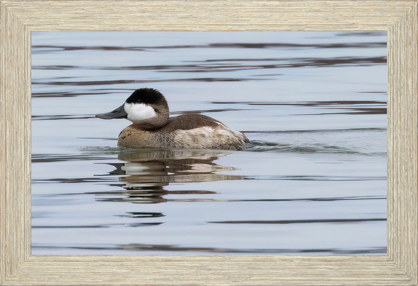 Solo Ruddy Drake #1